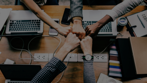 Collaboration Suite 2